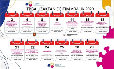  Xerifa Towerı: Gizemli Tarihiyle ve Muhteşem Manzarasıyla Seni Bekliyor!